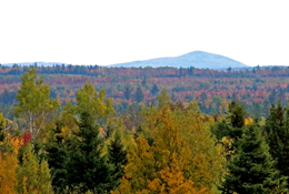 The summit of Mount Pleasant, southwestern New Brunswick, viewed from Harvey Station 35 kilometres to the north