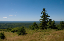 View from the top of Mount Pleasant, facing southwest across Charlotte County toward Maine, USA.