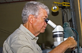 Adex's resident geologist Gustaaf Kooiman examines a polished sample of the Mount Pleasant ore through a microscope.